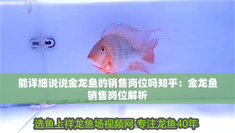 能詳細說說金龍魚的銷售崗位嗎知乎：金龍魚銷售崗位解析