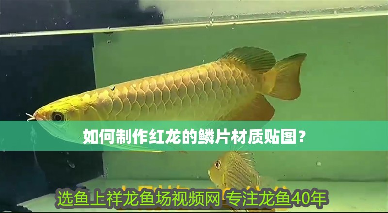 如何制作紅龍的鱗片材質貼圖？