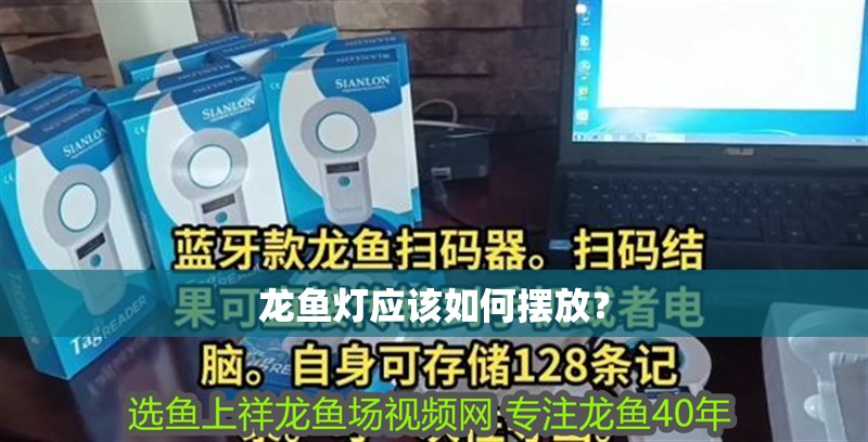 龍魚燈應該如何擺放？