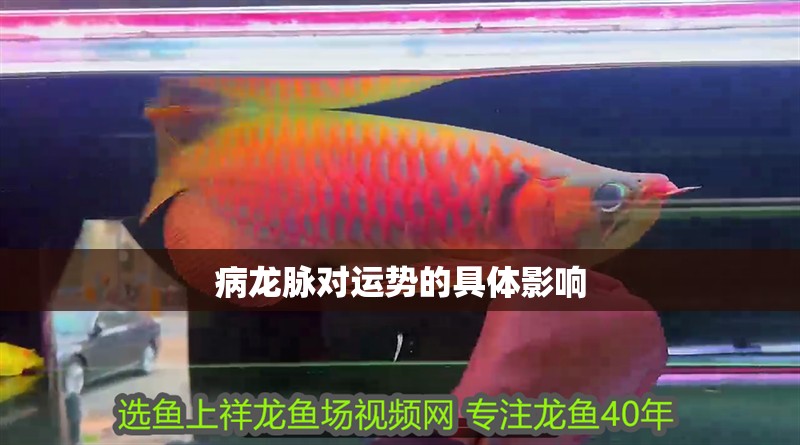 病龍脈對運勢的具體影響