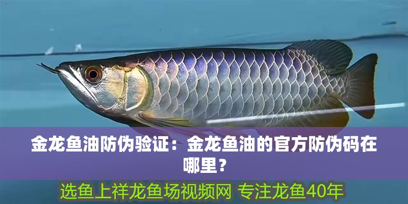 上部過濾系統濾材選擇指南：上部過濾系統濾料選擇指南