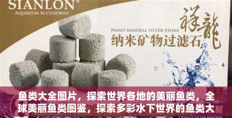 魚類大全圖片，探索世界各地的美麗魚類，全球美麗魚類圖鑒，探索多彩水下世界的魚類大全