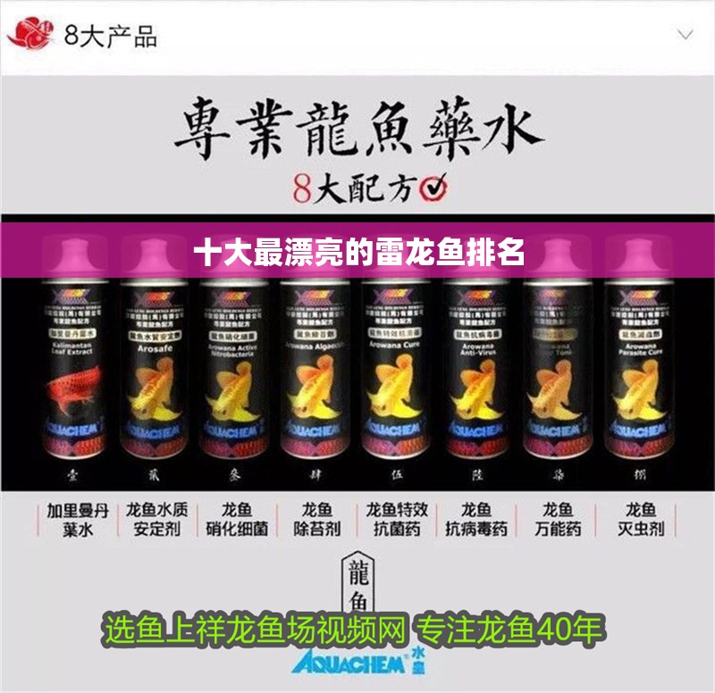 十大最漂亮的雷龍魚排名