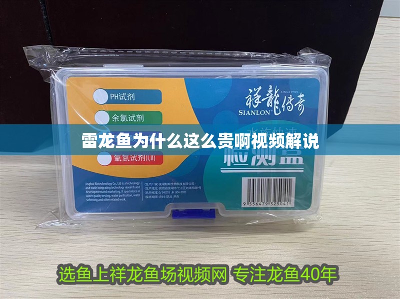 雷龍魚為什么這么貴啊視頻解說