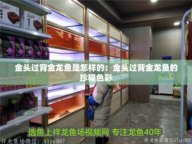 金頭過背金龍魚是怎樣的：金頭過背金龍魚的珍稀色彩