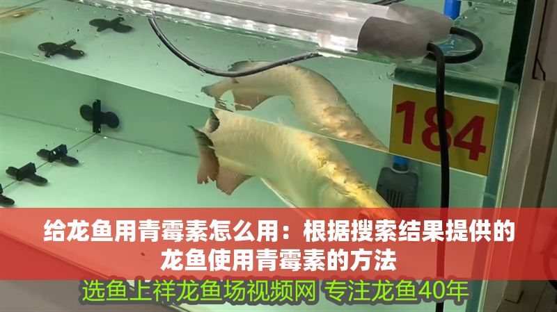 給龍魚用青霉素怎么用：根據搜索結果提供的龍魚使用青霉素的方法