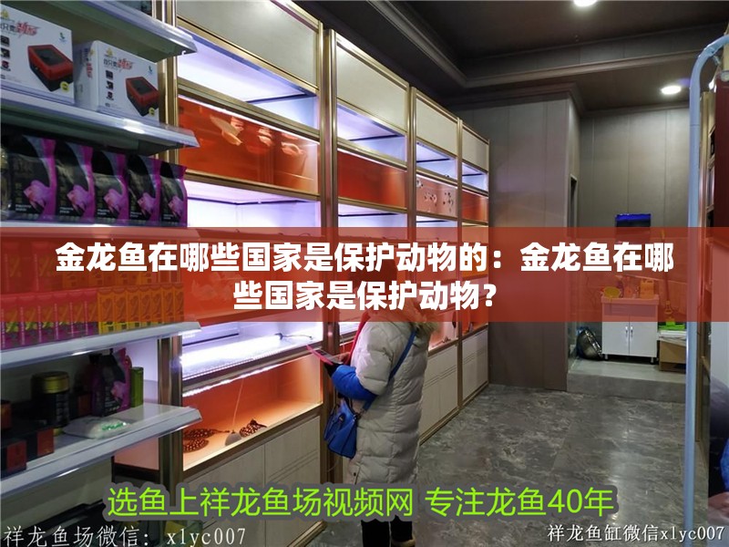 金龍魚(yú)在哪些國(guó)家是保護(hù)動(dòng)物的：金龍魚(yú)在哪些國(guó)家是保護(hù)動(dòng)物？