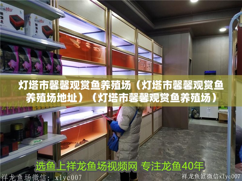 燈塔市馨馨觀賞魚養殖場（燈塔市馨馨觀賞魚養殖場地址）（燈塔市馨馨觀賞魚養殖場） 燈塔市馨馨觀賞魚養殖場（燈塔市馨馨觀賞魚養殖場地址）（燈塔市馨馨觀賞魚養殖場） 全國水族館企業名錄