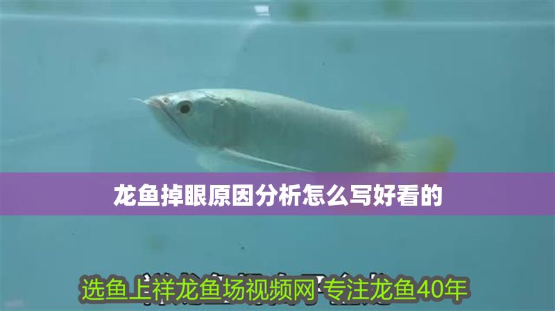 龍魚(yú)掉眼原因分析怎么寫好看的 龍魚(yú)掉眼原因分析怎么寫好看的 龍魚(yú)百科 第2張
