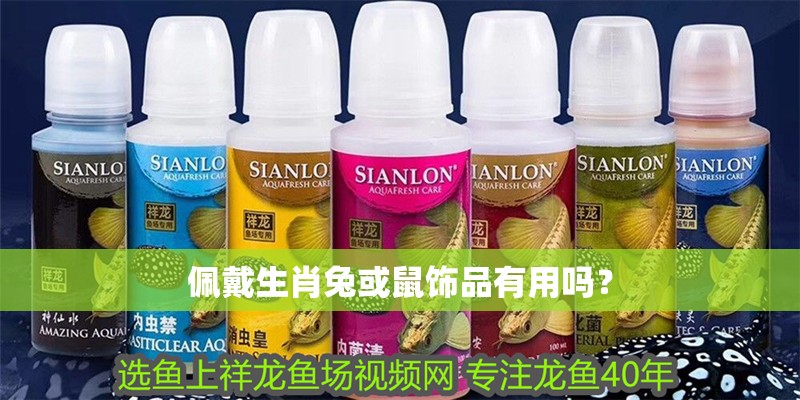 佩戴生肖兔或鼠飾品有用嗎？