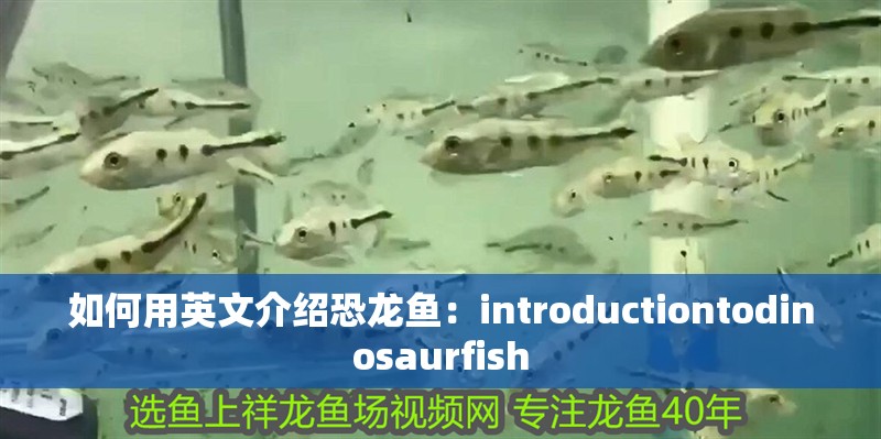 如何用英文介紹恐龍魚：introductiontodinosaurfish