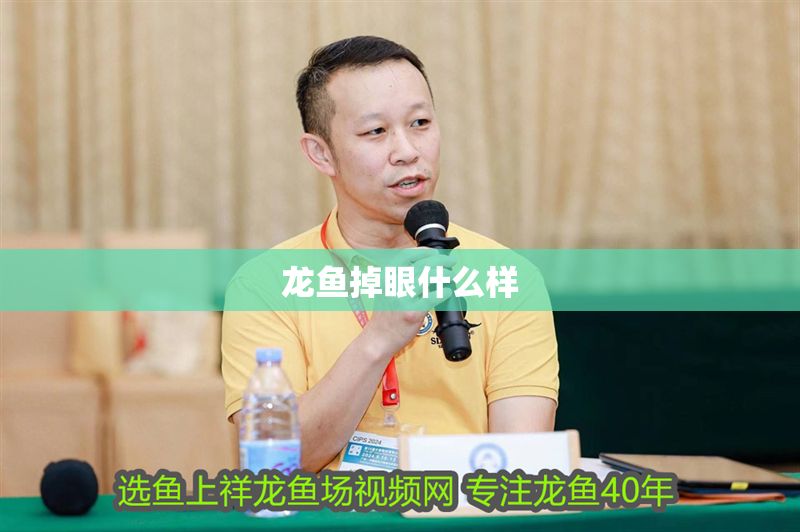 龍魚掉眼什么樣