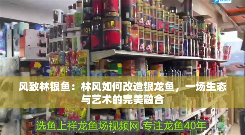 風致林銀魚：林風如何改造銀龍魚，一場生態與藝術的完美融合