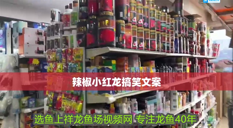 辣椒小紅龍搞笑文案