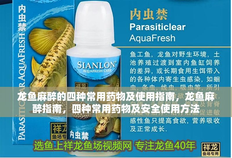 龍魚麻醉的四種常用藥物及使用指南，龍魚麻醉指南，四種常用藥物及安全使用方法