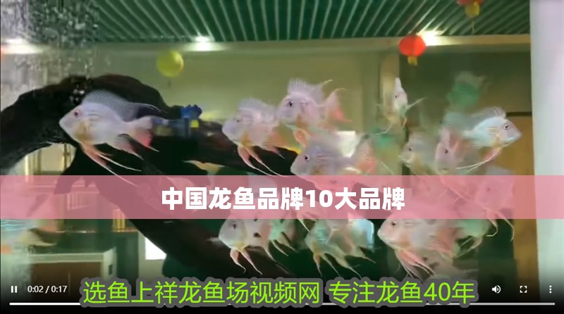 中國龍魚品牌10大品牌