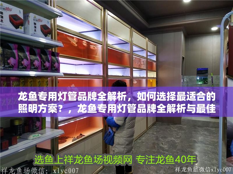 龍魚專用燈管品牌全解析，如何選擇最適合的照明方案？，龍魚專用燈管品牌全解析與最佳照明方案選擇指南