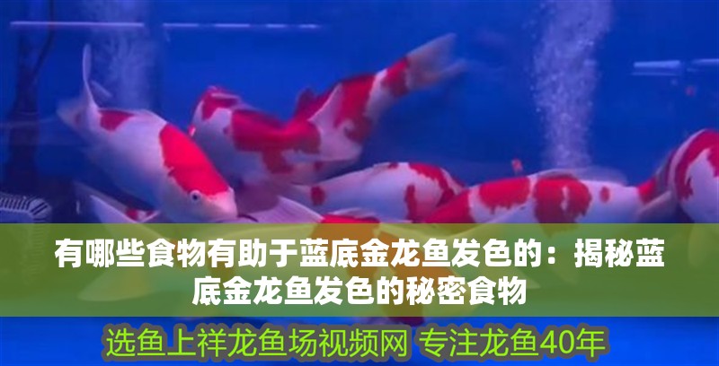 還有沒有其他龍魚傷口斷根的方法？