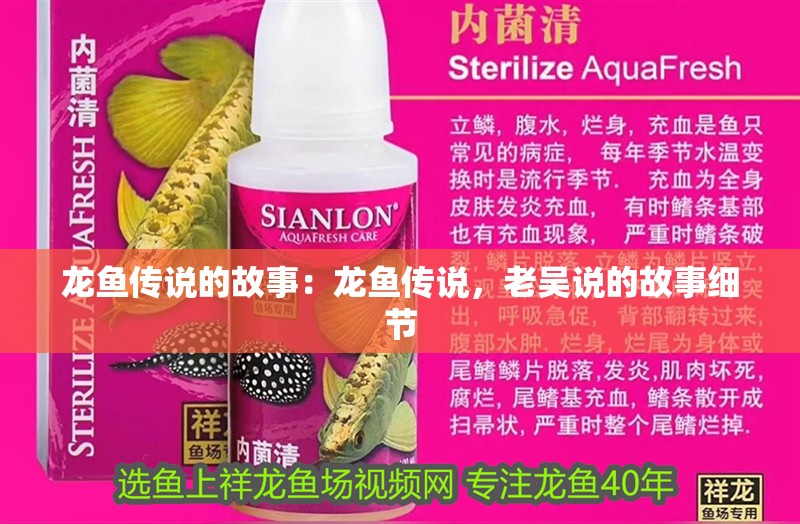 龍魚傳說的故事：龍魚傳說，老吳說的故事細節