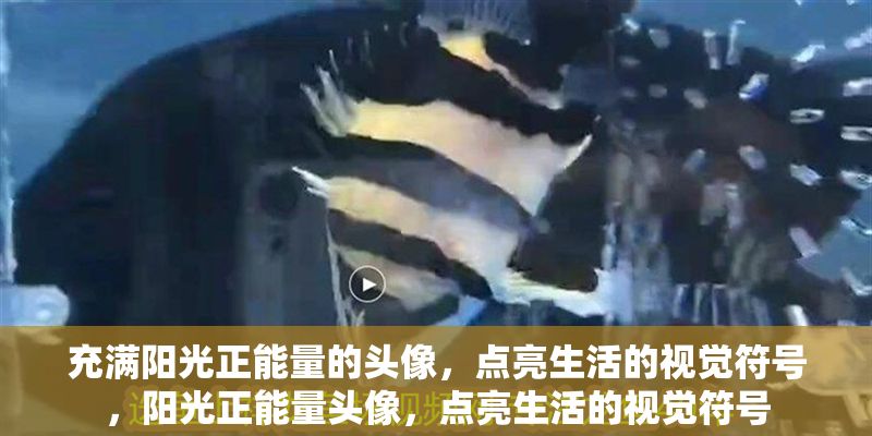 充滿陽光正能量的頭像，點亮生活的視覺符號，陽光正能量頭像，點亮生活的視覺符號