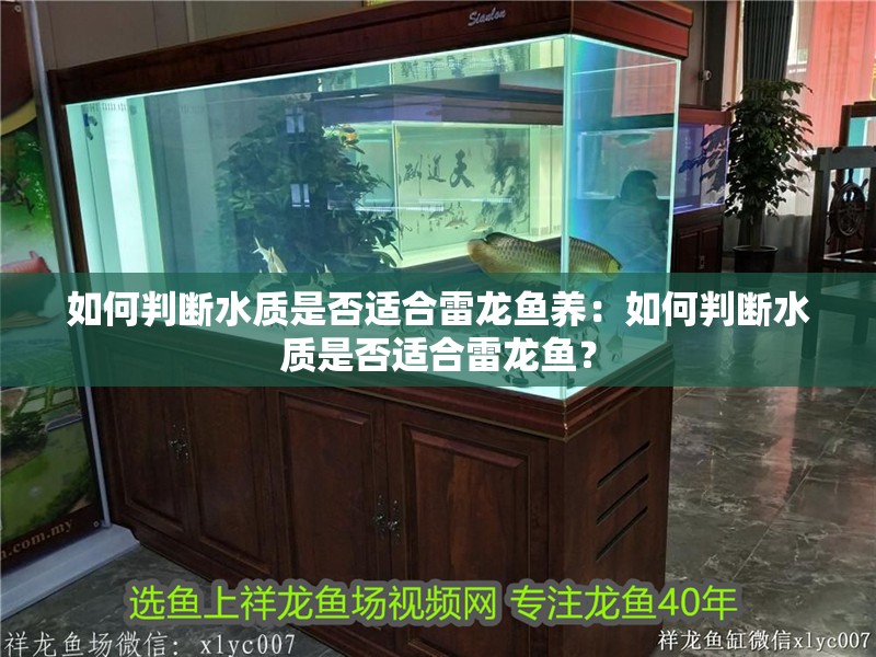 如何判斷水質(zhì)是否適合雷龍魚養(yǎng)：如何判斷水質(zhì)是否適合雷龍魚？