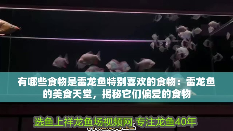 有哪些食物是雷龍魚特別喜歡的食物：雷龍魚的美食天堂，揭秘它們偏愛的食物