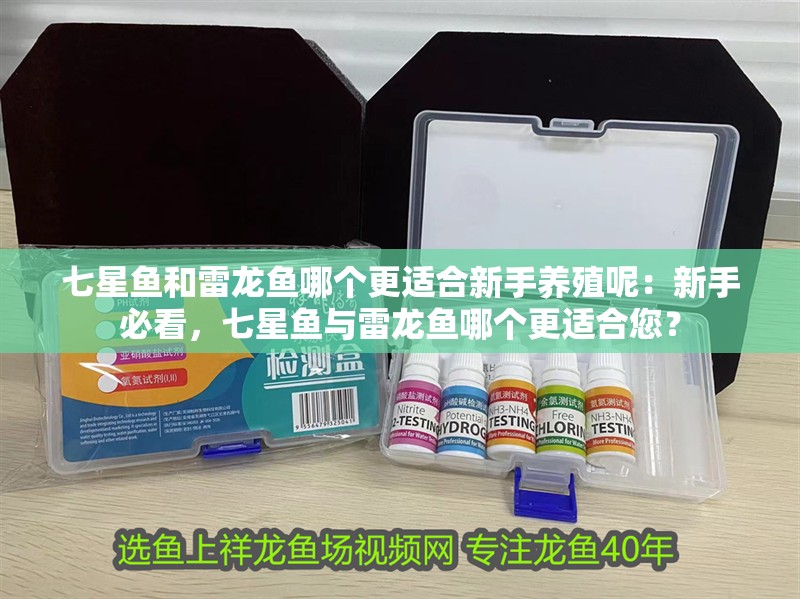 七星魚和雷龍魚哪個(gè)更適合新手養(yǎng)殖呢：新手必看，七星魚與雷龍魚哪個(gè)更適合您？