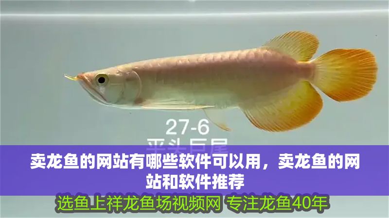 賣龍魚的網站有哪些軟件可以用，賣龍魚的網站和軟件推薦