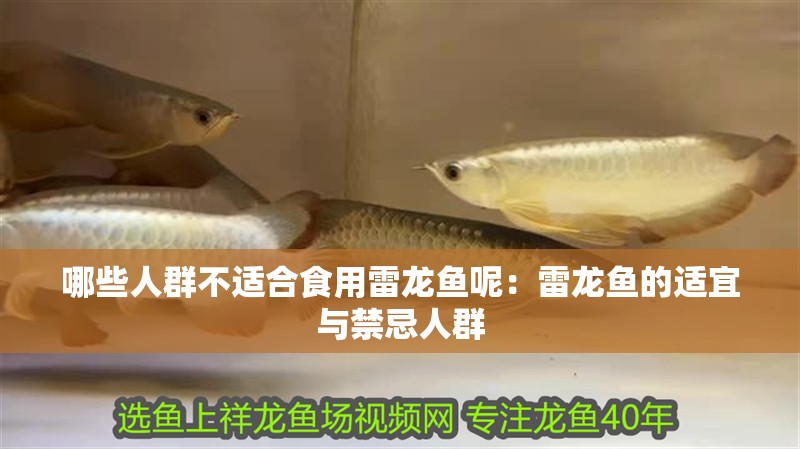 哪些人群不適合食用雷龍魚(yú)呢：雷龍魚(yú)的適宜與禁忌人群