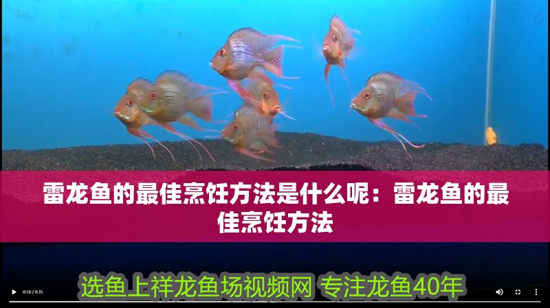雷龍魚的最佳烹飪方法是什么呢：雷龍魚的最佳烹飪方法