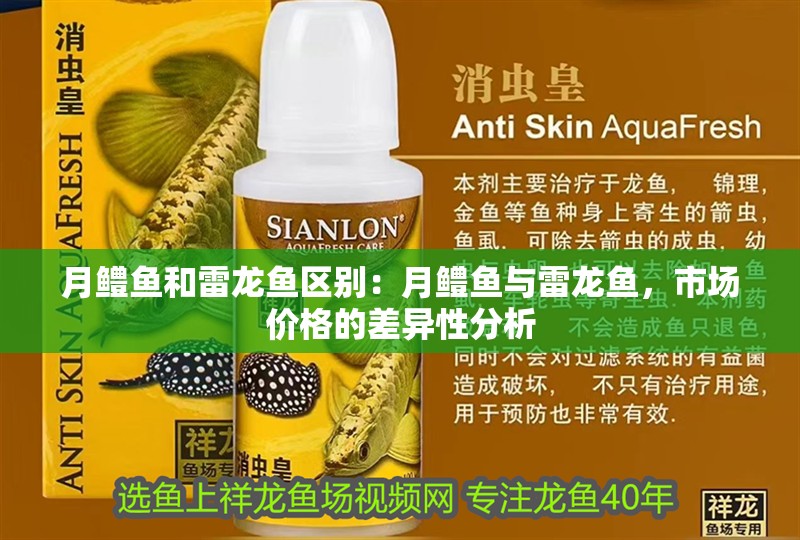 月鱧魚和雷龍魚區別：月鱧魚與雷龍魚，市場價格的差異性分析