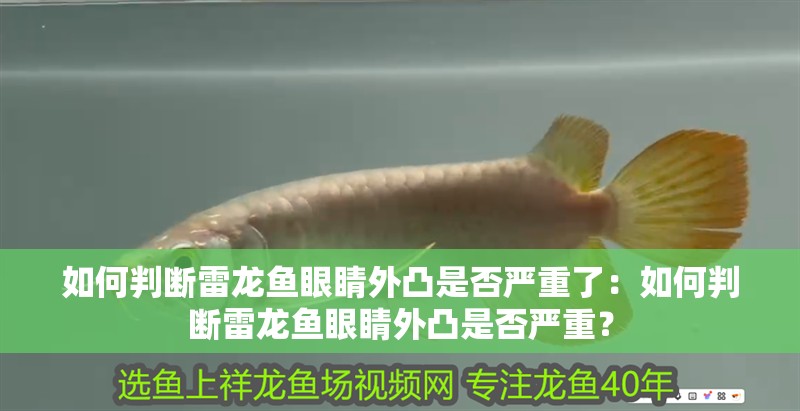 如何判斷雷龍魚眼睛外凸是否嚴重了：如何判斷雷龍魚眼睛外凸是否嚴重？