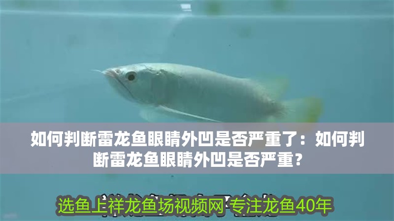 如何判斷雷龍魚眼睛外凹是否嚴重了：如何判斷雷龍魚眼睛外凹是否嚴重？