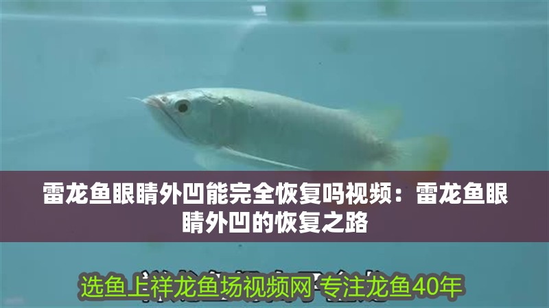 雷龍魚眼睛外凹能完全恢復(fù)嗎視頻：雷龍魚眼睛外凹的恢復(fù)之路