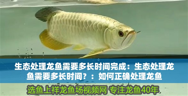 生態處理龍魚需要多長時間完成：生態處理龍魚需要多長時間？：如何正確處理龍魚