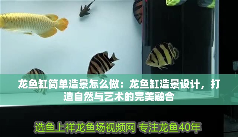 龍魚缸簡單造景怎么做：龍魚缸造景設計，打造自然與藝術的完美融合