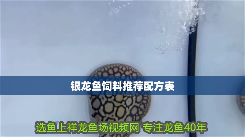 銀龍魚飼料推薦配方表