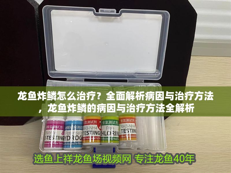 龍魚(yú)炸鱗怎么治療?全面解析病因與治療方法,龍魚(yú)炸鱗的病因與治療方法全解析 龍魚(yú)常見(jiàn)疾病 第2張 龍魚(yú)炸鱗怎么治療?全面解析病因與治療方法,龍魚(yú)炸鱗的病因與治療方法全解析 龍魚(yú)炸鱗怎么治療?全面解析病因與治療方法,龍魚(yú)炸鱗的病因與治療方法全解析 龍魚(yú)常見(jiàn)疾病 第2張