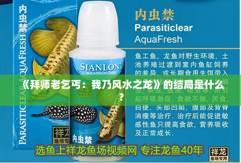 《拜師老乞丐：我乃風水之龍》的結局是什么？