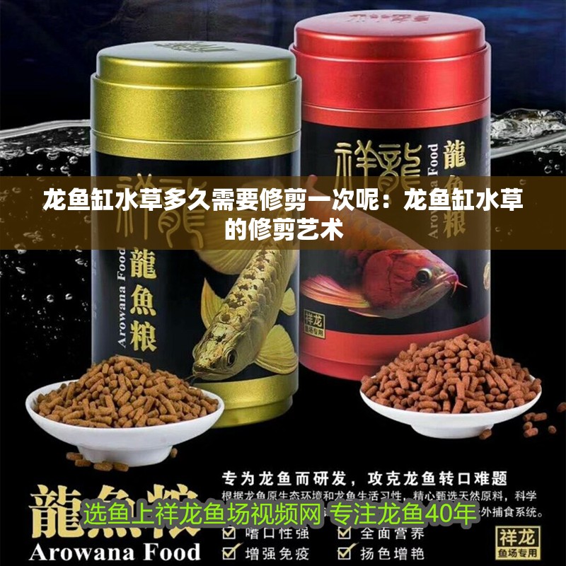 龍魚缸水草多久需要修剪一次呢：龍魚缸水草的修剪藝術