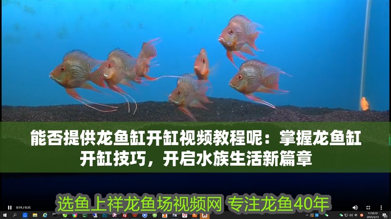 能否提供龍魚缸開缸視頻教程呢：掌握龍魚缸開缸技巧，開啟水族生活新篇章
