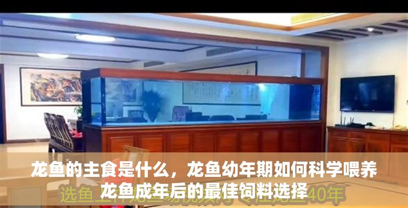 龍魚的主食是什么，龍魚幼年期如何科學喂養龍魚成年后的最佳飼料選擇