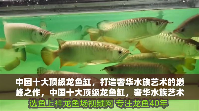 中國十大頂級龍魚缸，打造奢華水族藝術(shù)的巔峰之作，中國十大頂級龍魚缸，奢華水族藝術(shù)的巔峰之作