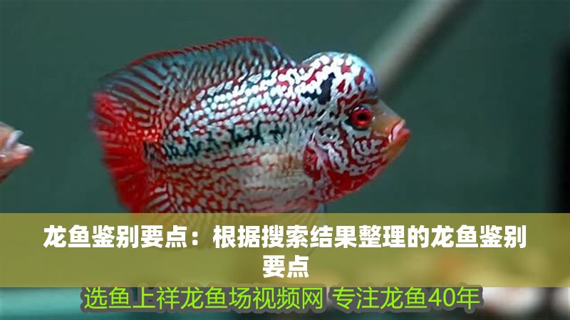 龍魚鑒別要點：根據搜索結果整理的龍魚鑒別要點