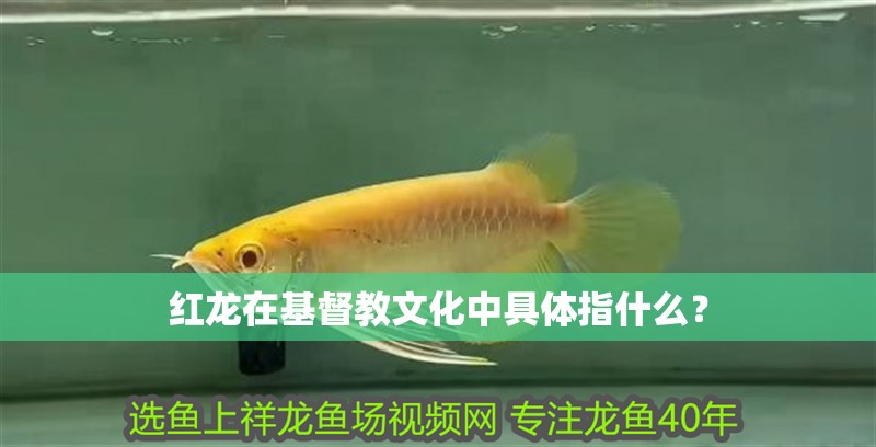 紅龍在基督教文化中具體指什么？