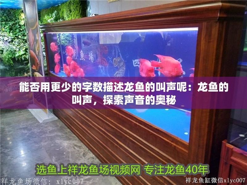 能否用更少的字數(shù)描述龍魚的叫聲呢：龍魚的叫聲，探索聲音的奧秘