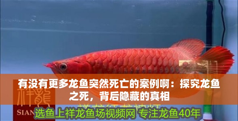 有沒有更多龍魚突然死亡的案例?。禾骄魁堲~之死，背后隱藏的真相