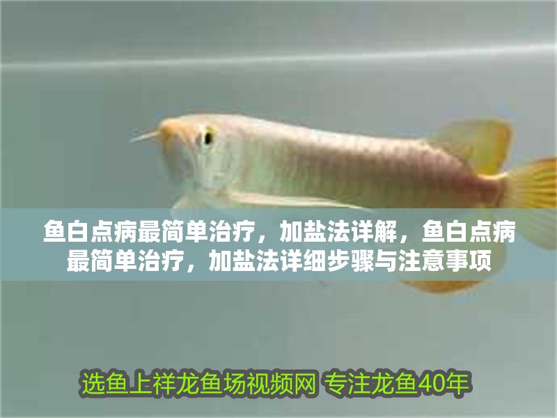魚白點病最簡單治療，加鹽法詳解，魚白點病最簡單治療，加鹽法詳細步驟與注意事項