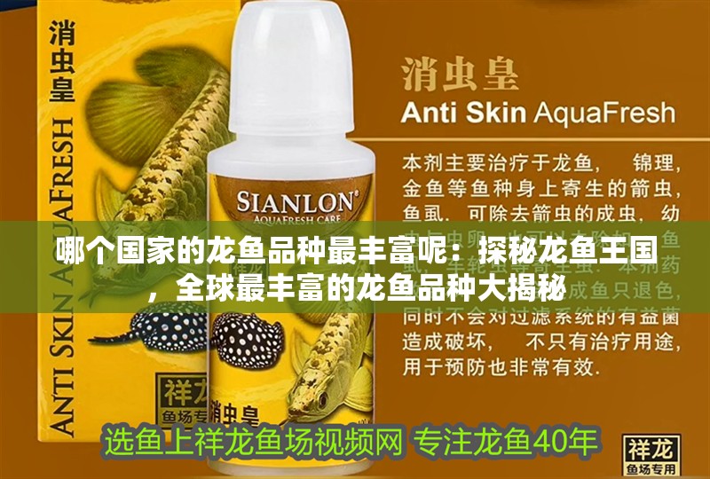 哪個國家的龍魚品種最豐富呢：探秘龍魚王國，全球最豐富的龍魚品種大揭秘