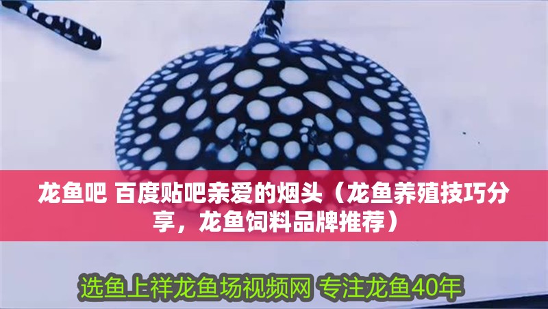 龍魚吧 百度貼吧親愛的煙頭（龍魚養(yǎng)殖技巧分享，龍魚飼料品牌推薦）